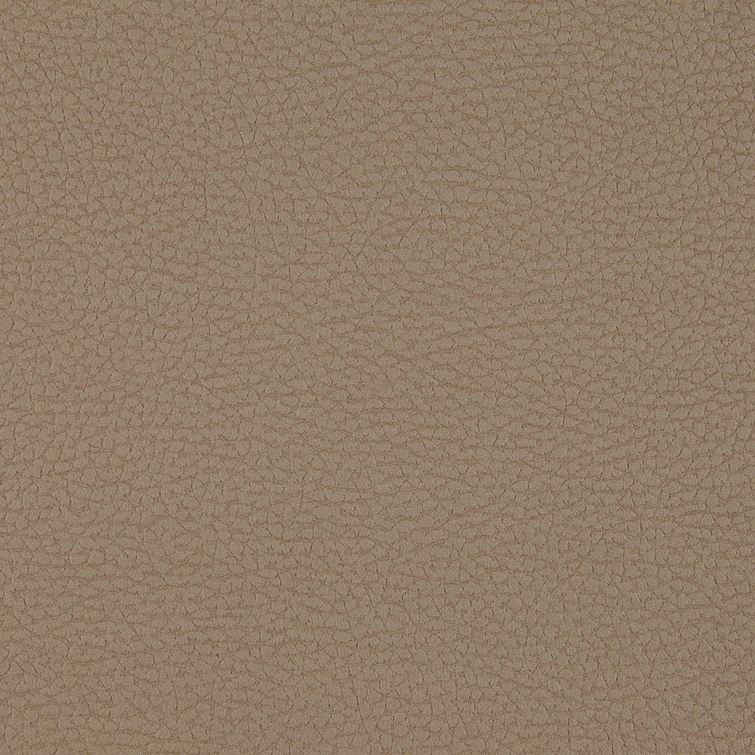 Olifante 3