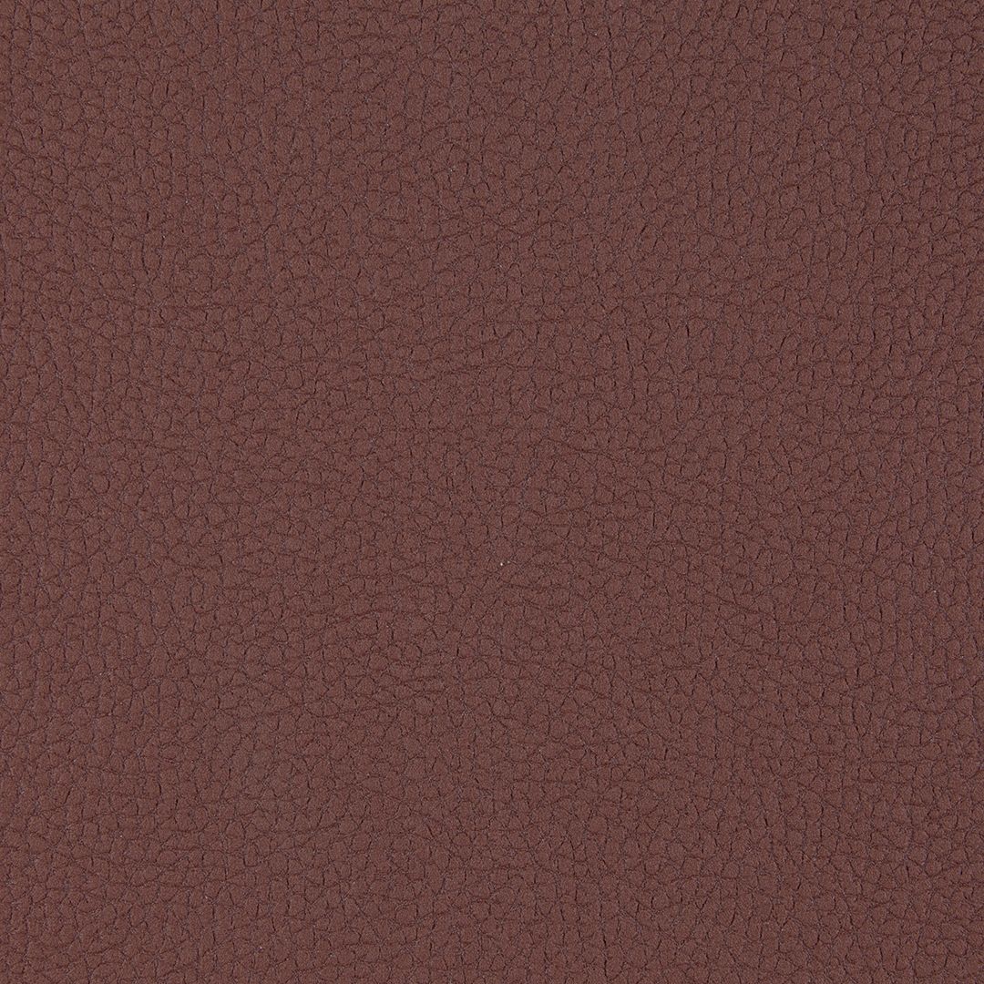 Olifante 8 