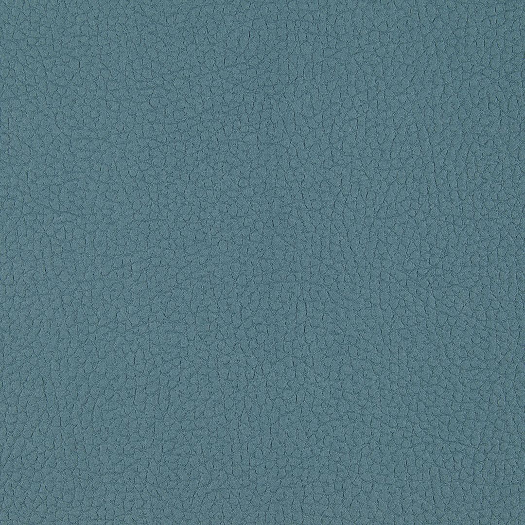 Olifante 10
