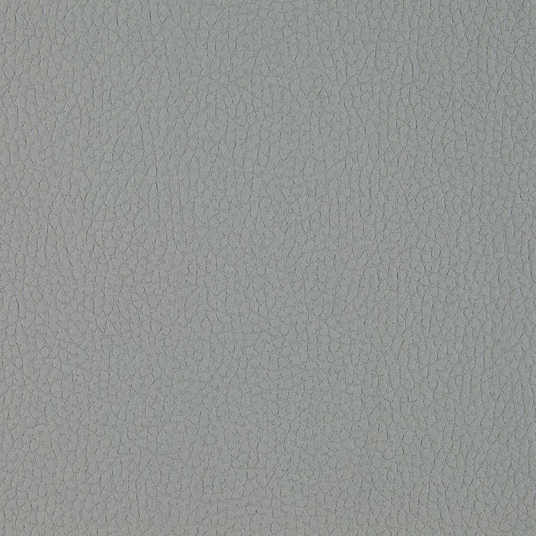Olifante 11 